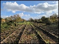 Track Clearance25-26