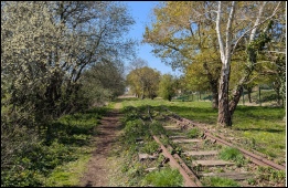Looking towards Portishead and the approach to site of new station