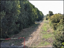From Marsh Lane bridge looking towards Portishead. August 2026